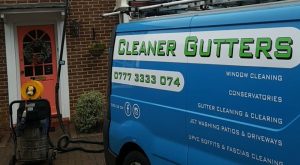 Gutter Cleaning