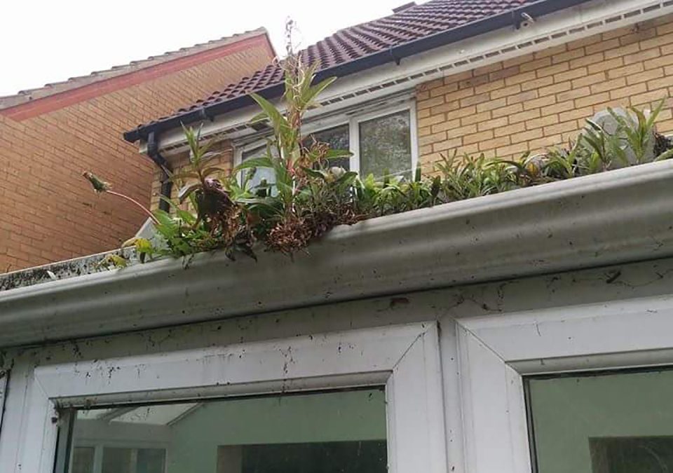 How important is it to get your gutters checked?