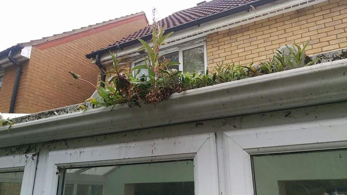 How important is it to get your gutters checked?